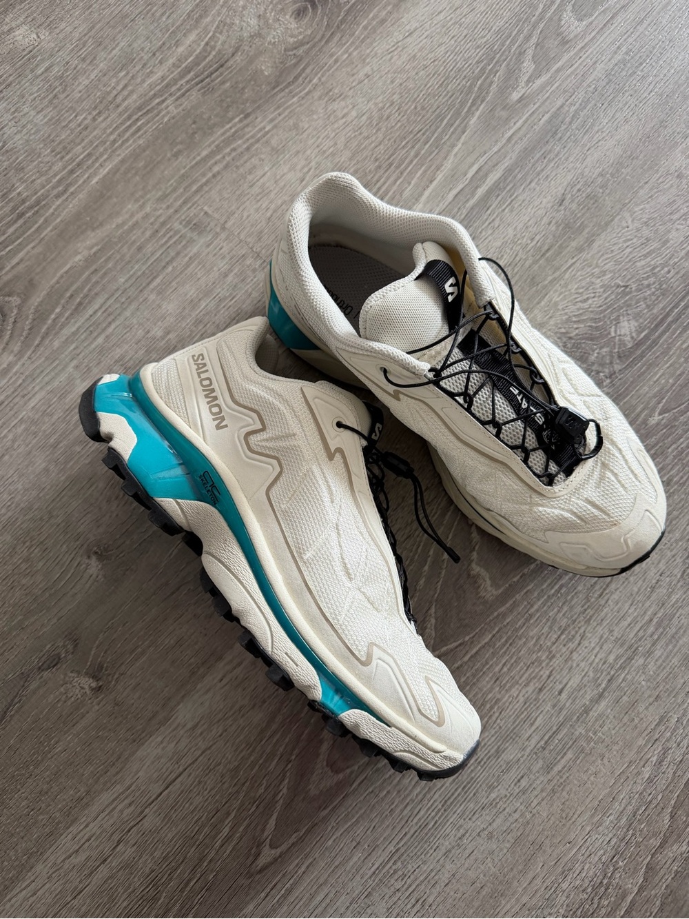 Salomon sneakers